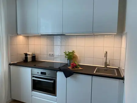 Moderne Küche mit minimalistischer Ausstattung und frischen Zutaten.